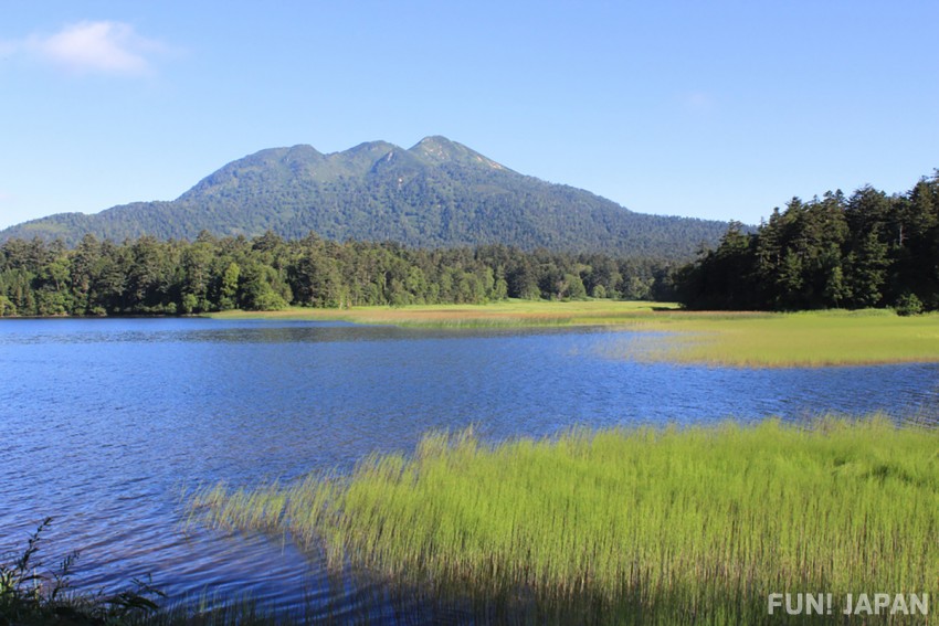 群馬縣尾瀨國立公園：日本最大的高原濕地